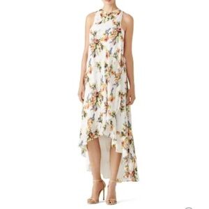 Haute Hippie
Floral Jane High Low Maxi size 6 EUC